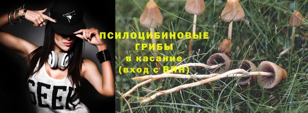COCAINE Гусь-Хрустальный