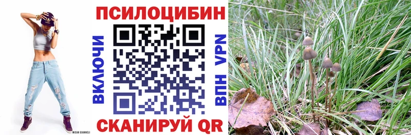 Галлюциногенные грибы Psilocybine cubensis  omg как зайти  Дзержинск  продажа наркотиков 