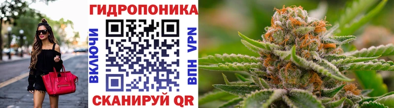 наркотики  Дзержинск  Каннабис Ganja 